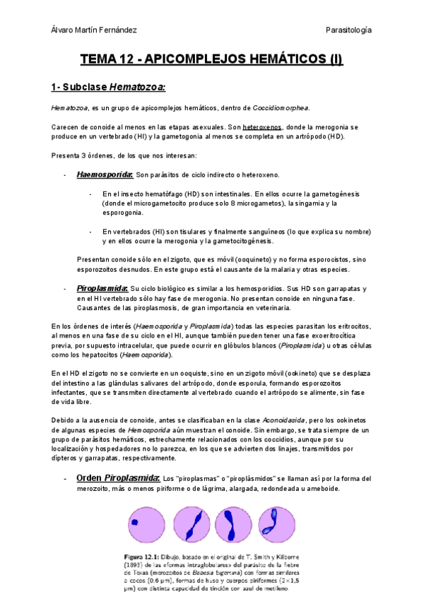 Miniatura del documento TEMA-12-APICOMPLEJOS-HEMATICOS-I.pdf