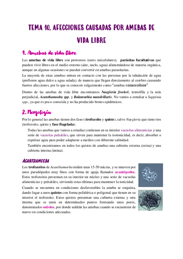 Miniatura del documento TEMA-10.pdf