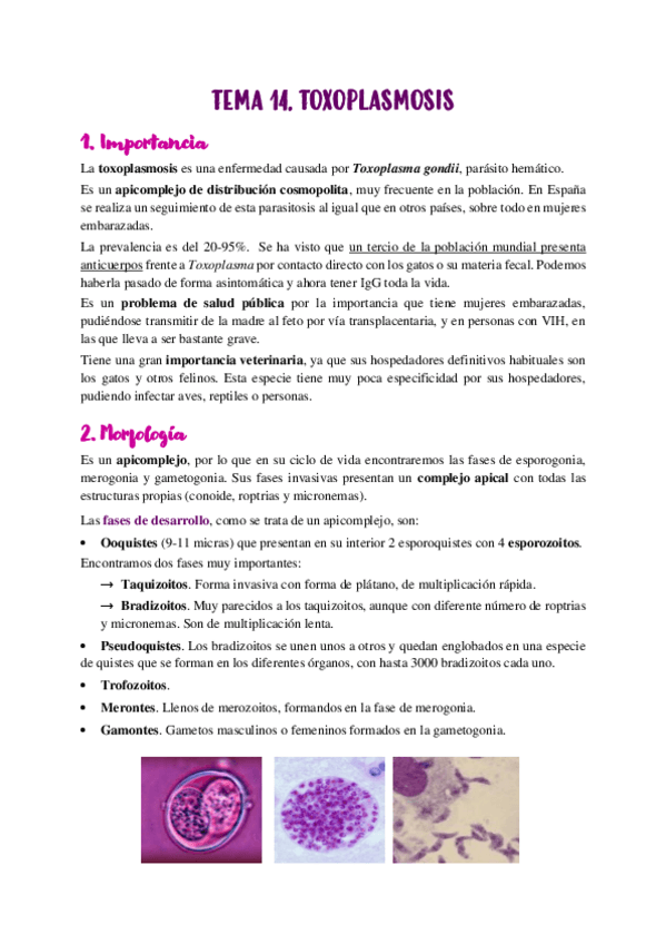 Miniatura del documento TEMA-14.pdf