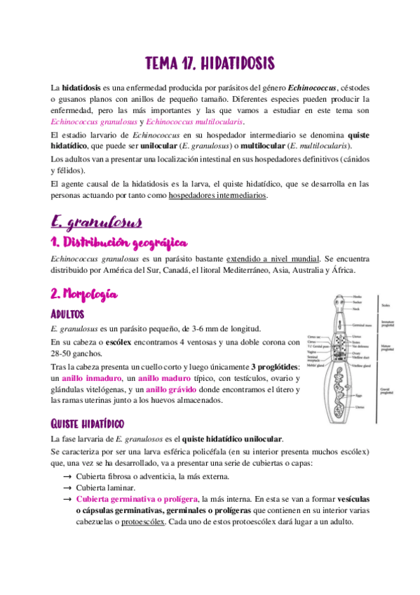 Miniatura del documento TEMA-17.pdf