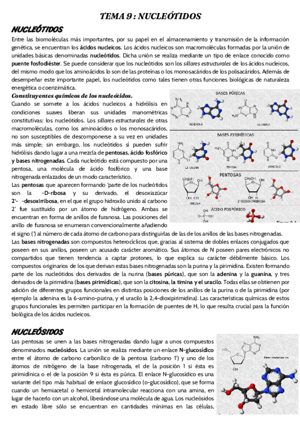 Miniatura del documento tema-9-.pdf
