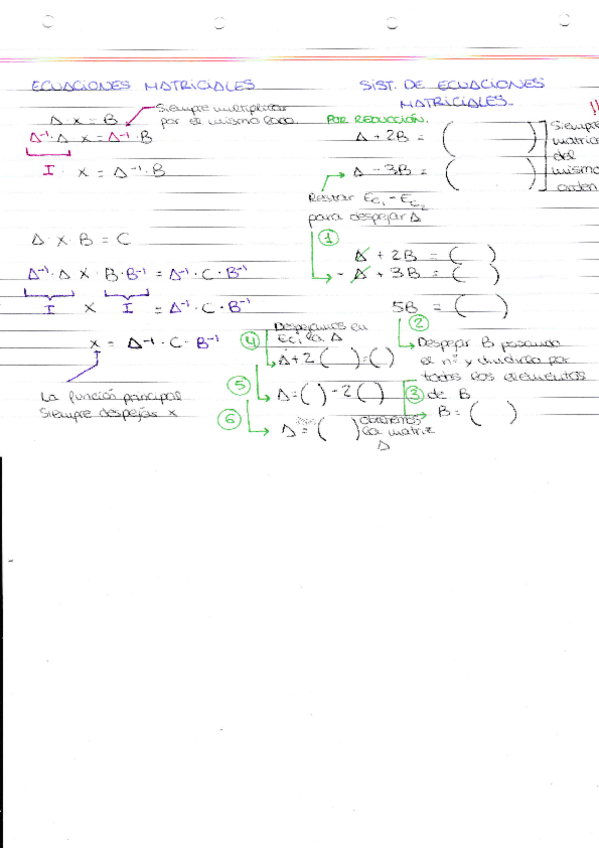 Miniatura del documento ECUACIONES-MATRICIALES.pdf