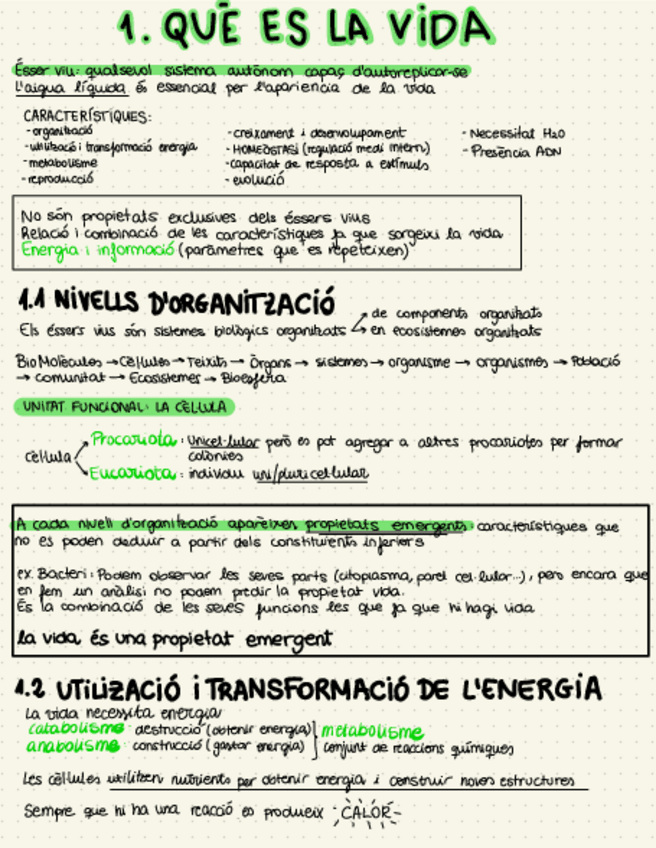 Miniatura del documento 1.-QUE-ES-LA-VIDA.pdf