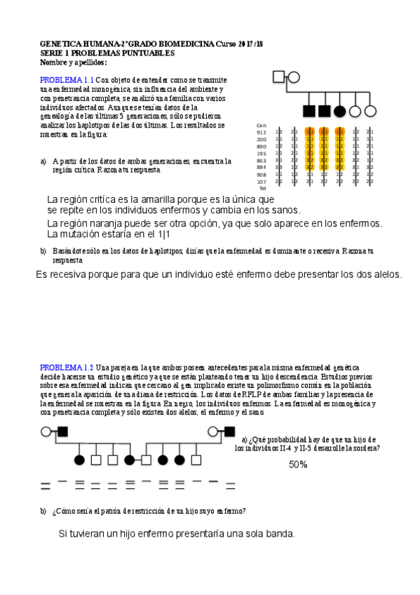 Miniatura del documento SERIE 1.pdf