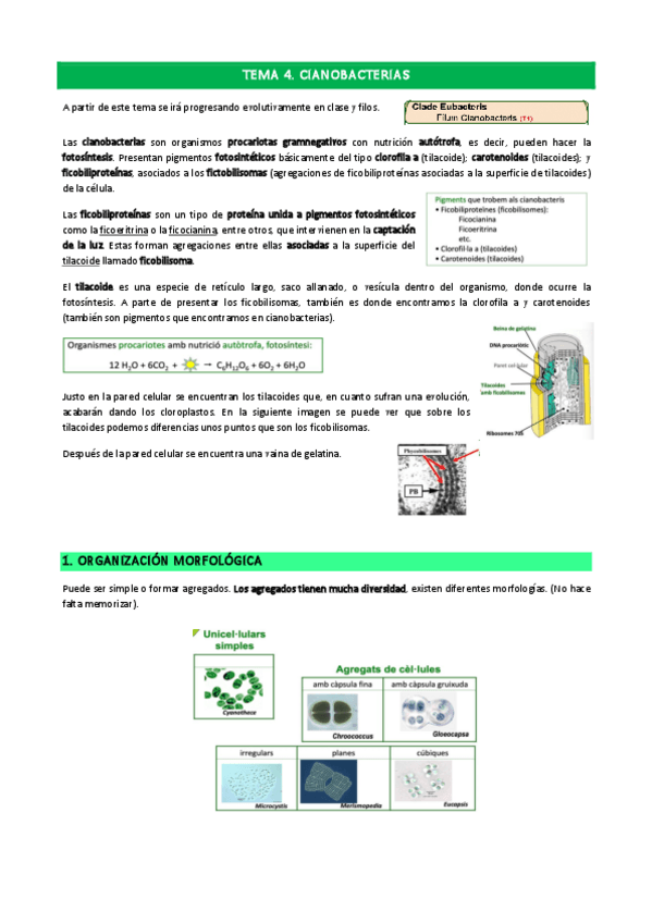 Miniatura del documento Tema-4.pdf