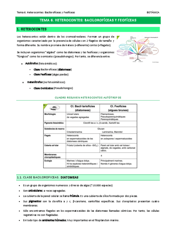 Miniatura del documento Tema-6.pdf