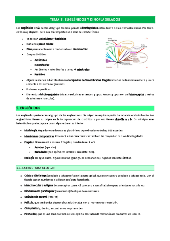 Miniatura del documento Tema-5.pdf