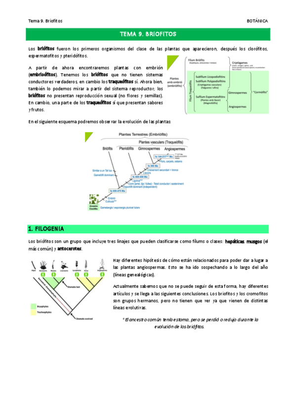 Miniatura del documento Tema-9.pdf