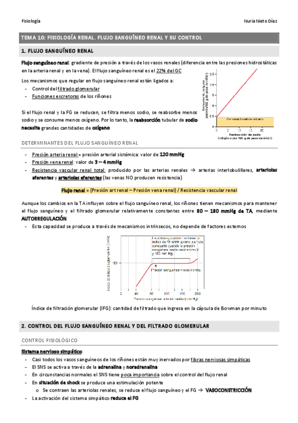 Miniatura del documento TEMA 10 - Flujo renal y su control
