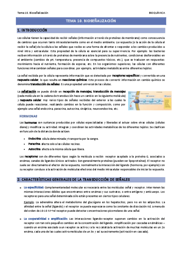 Miniatura del documento Tema-10.pdf