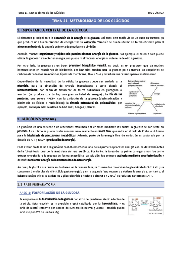 Miniatura del documento Tema-11.pdf