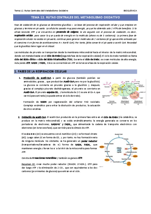 Miniatura del documento Tema-12.pdf