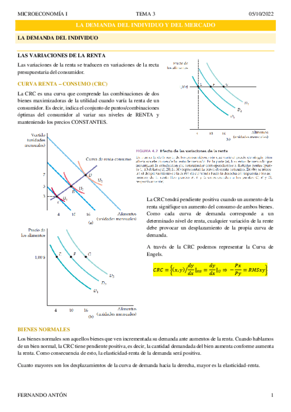 Miniatura del documento APUNTES-MICROECONOMIA-TEMA-3-FINALES.pdf
