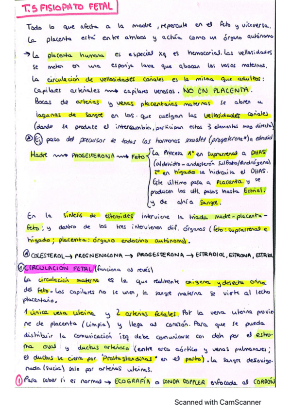 Miniatura del documento b-y-t5.pdf