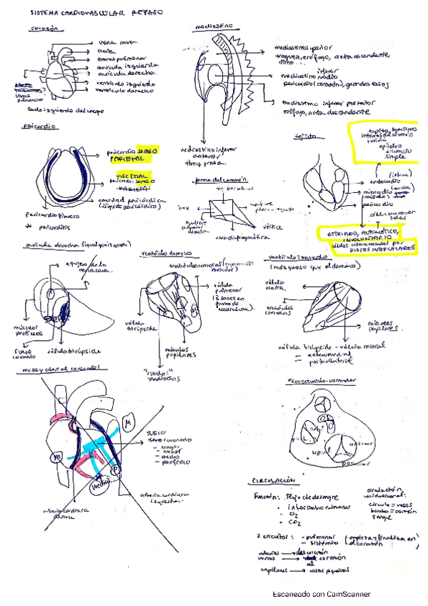 Miniatura del documento corazon.pdf