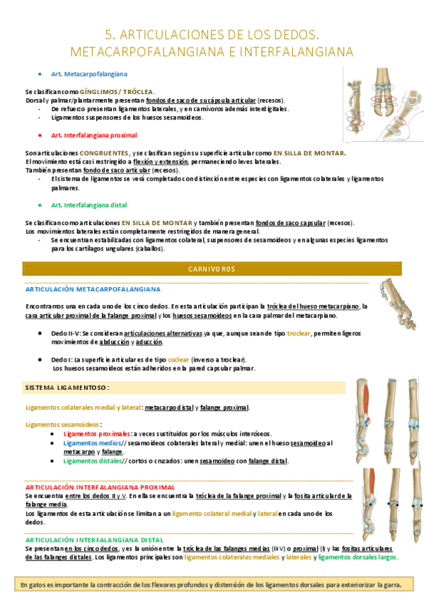Miniatura del documento Dedos