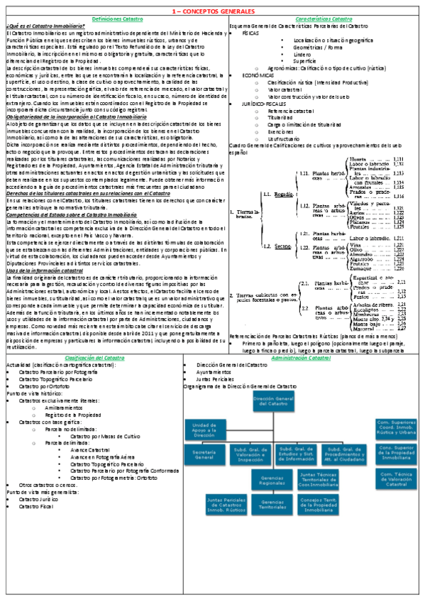 Miniatura del documento Resumen-Catastro-1.pdf