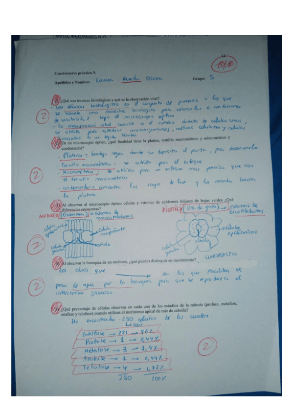 Miniatura del documento Practica-9.pdf