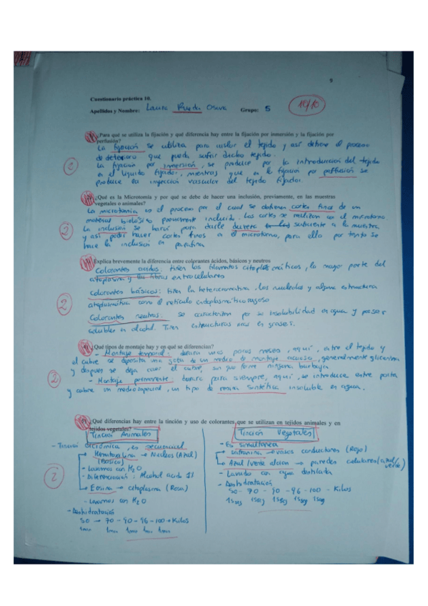 Miniatura del documento Practica-10.pdf
