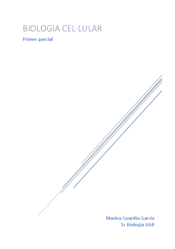 Miniatura del documento apunts-complets.pdf