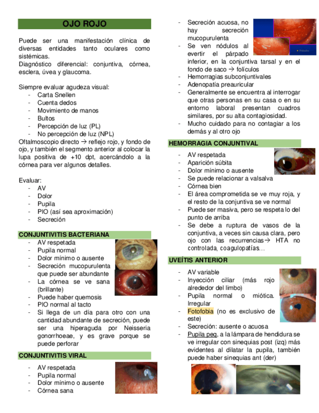 Miniatura del documento OJO-ROJO.pdf