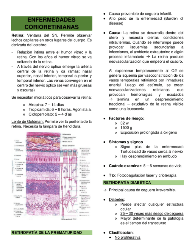 Miniatura del documento ENFERMEDADES-CORIORETINIANAS.pdf