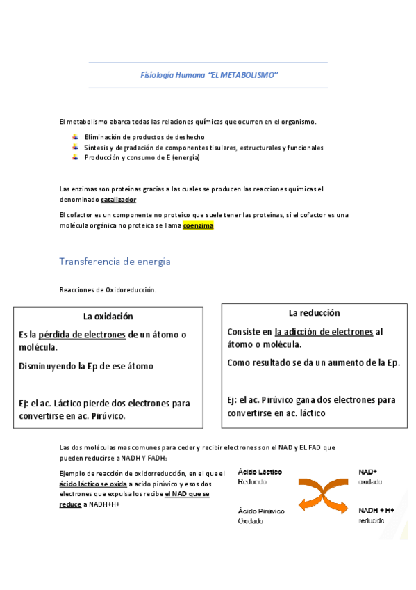 Miniatura del documento Fisiologia-Humana-Tema-2-W.pdf