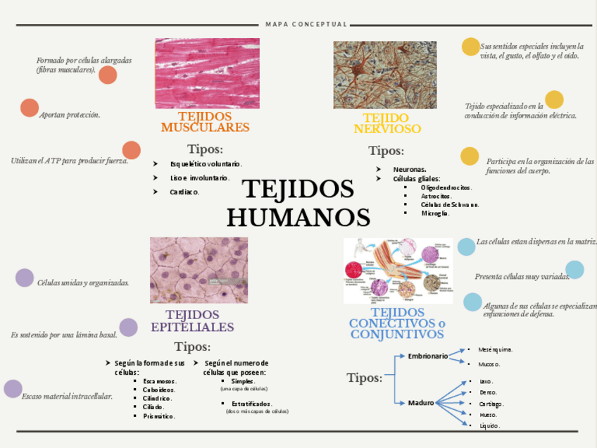 Miniatura del documento Mapa-conceptualPDFEduardo-Lozano-2.pdf