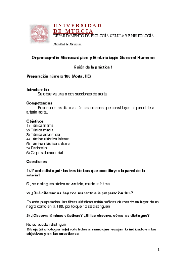 Miniatura del documento Guion-practica-1-wu.pdf