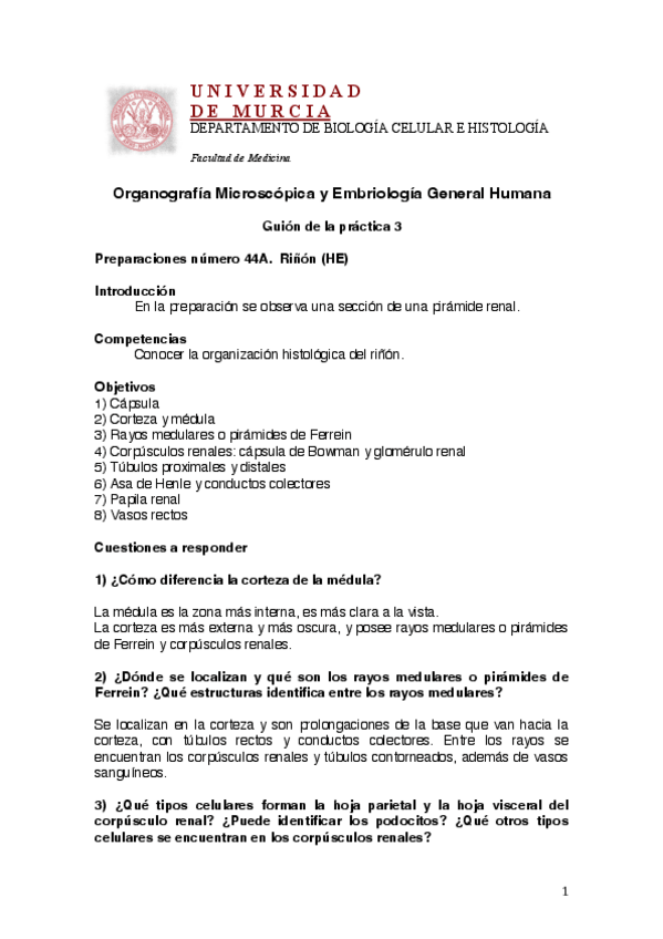 Miniatura del documento Guion-practica-3-wu.pdf