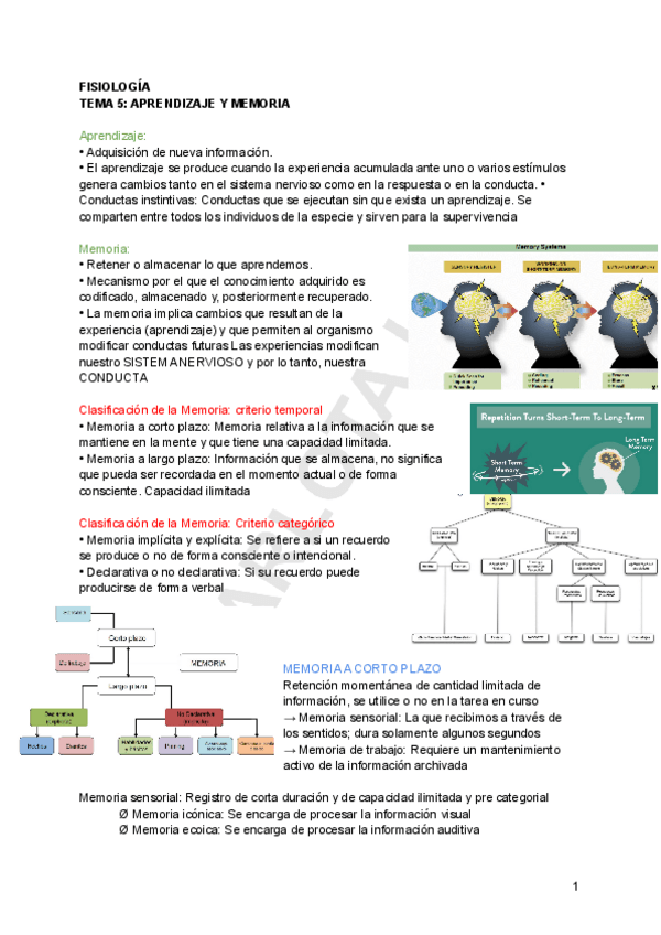 Miniatura del documento FISIO-TEMA-5-.pdf