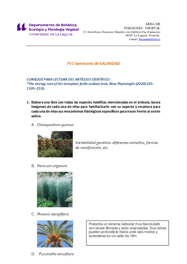 Miniatura del documento Consejos-Preparacion-Articulo.pdf