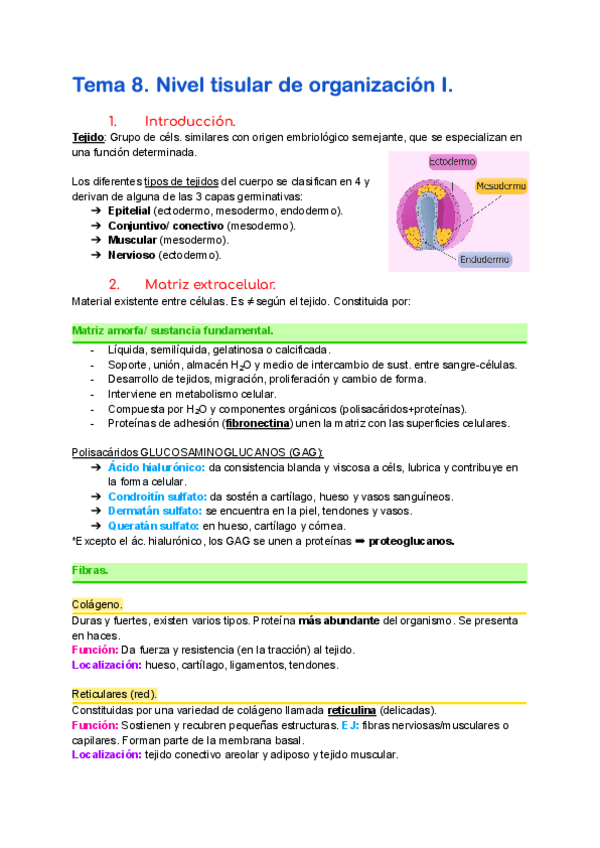 Miniatura del documento T8.pdf