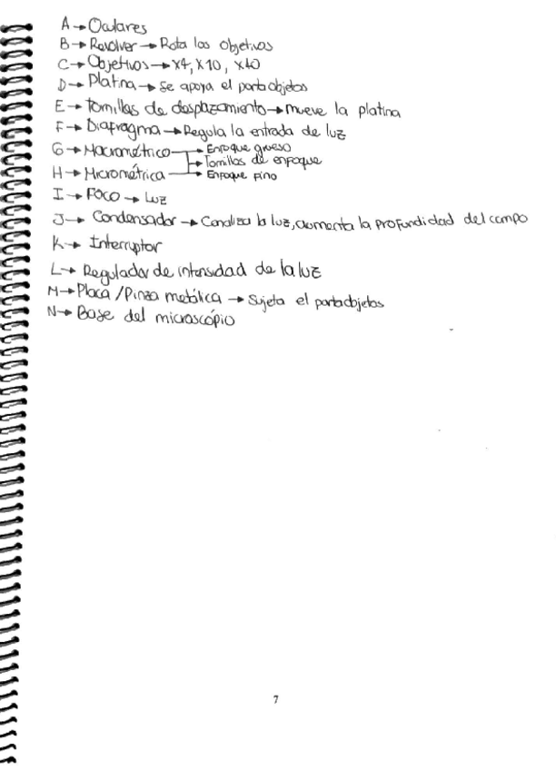 Miniatura del documento Practicas-biologia.pdf