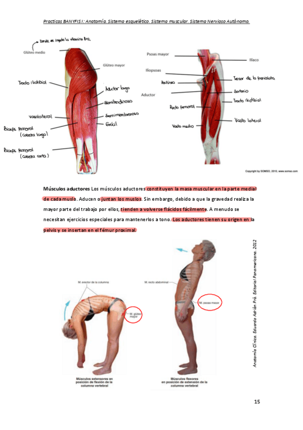 Miniatura del documento practicas-BANIFIS-I.pdf
