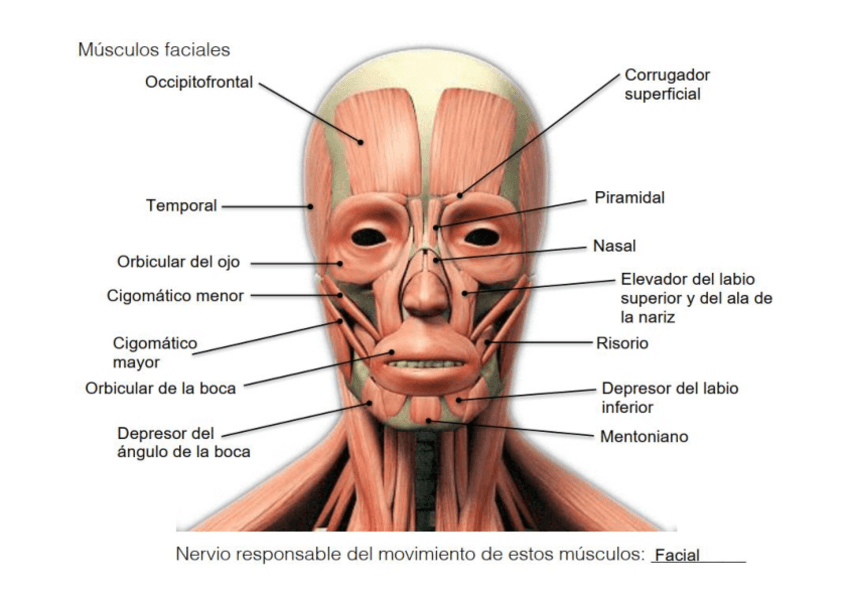 Miniatura del documento Practiva-4.pdf