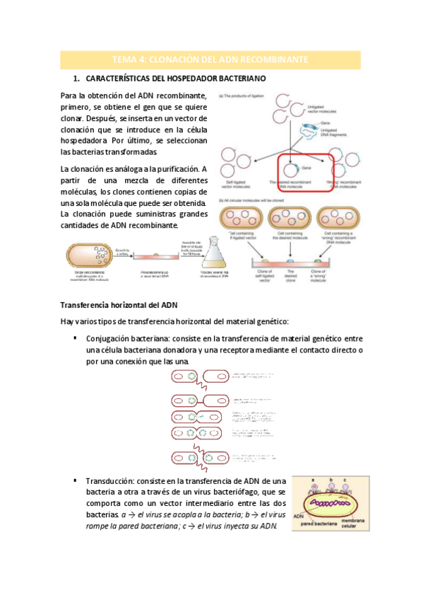 Miniatura del documento TEMA-4.pdf