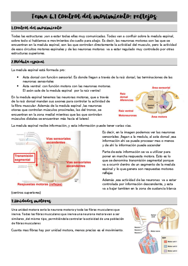 Miniatura del documento Tema-6.pdf