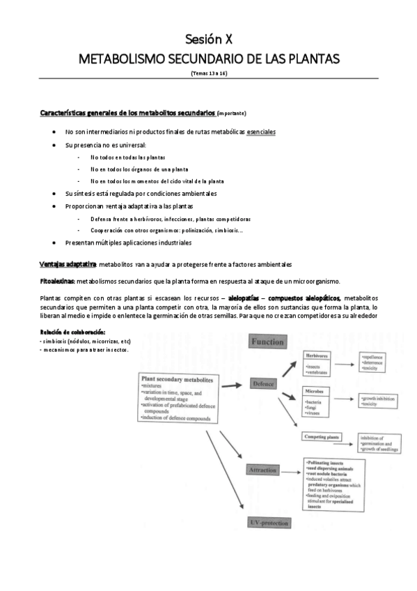 Miniatura del documento Sesion-X.pdf