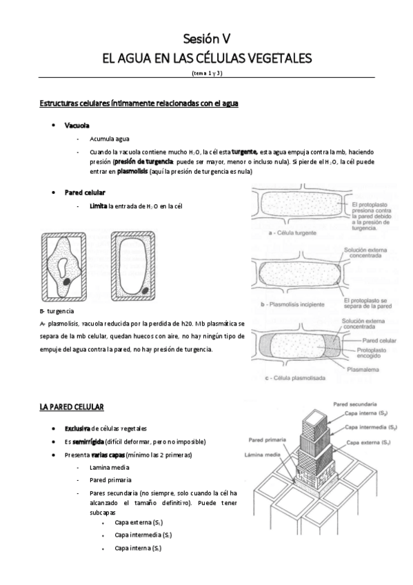 Miniatura del documento Sesion-V.pdf