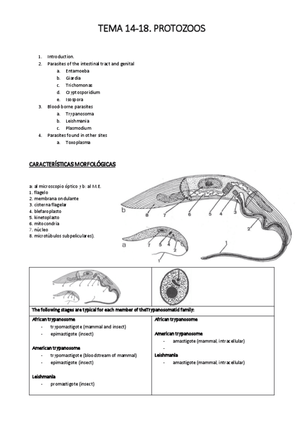 Miniatura del documento TEMA-14.pdf