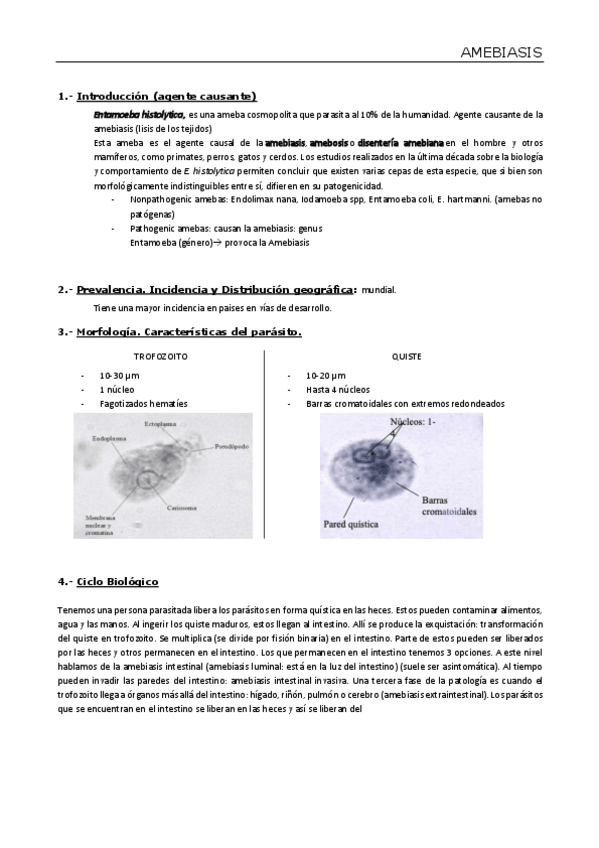 Miniatura del documento Tema-16.pdf