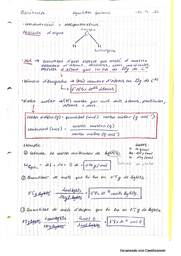 Miniatura del documento APUNTS-GENERALS.pdf