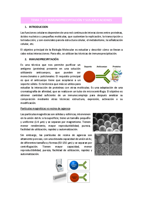 Miniatura del documento TEMA-7-2022.pdf