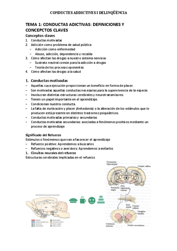 Miniatura del documento Tema-1.pdf