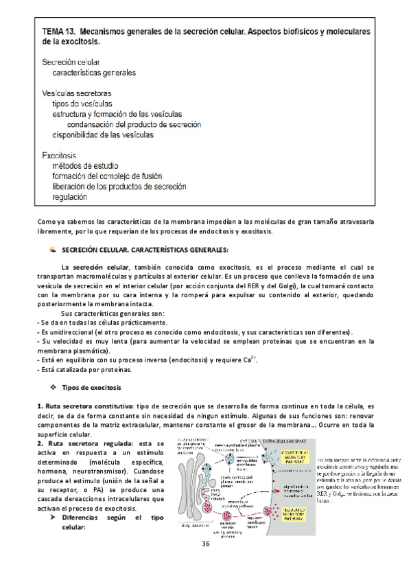Miniatura del documento TEMA 13.pdf