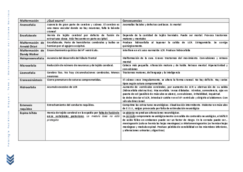 Miniatura del documento B1-T1.pdf