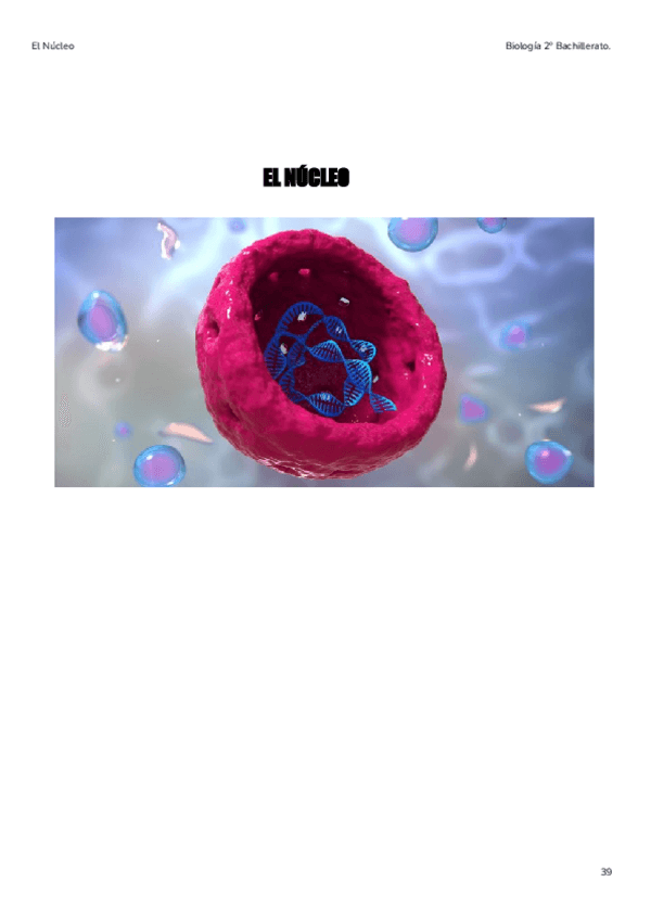 Miniatura del documento 3.pdf