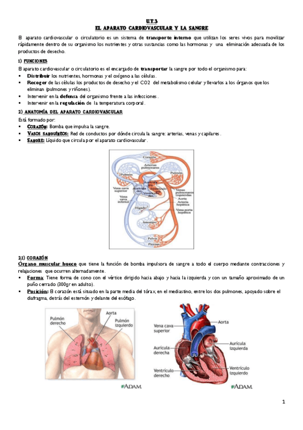 Miniatura del documento U.pdf