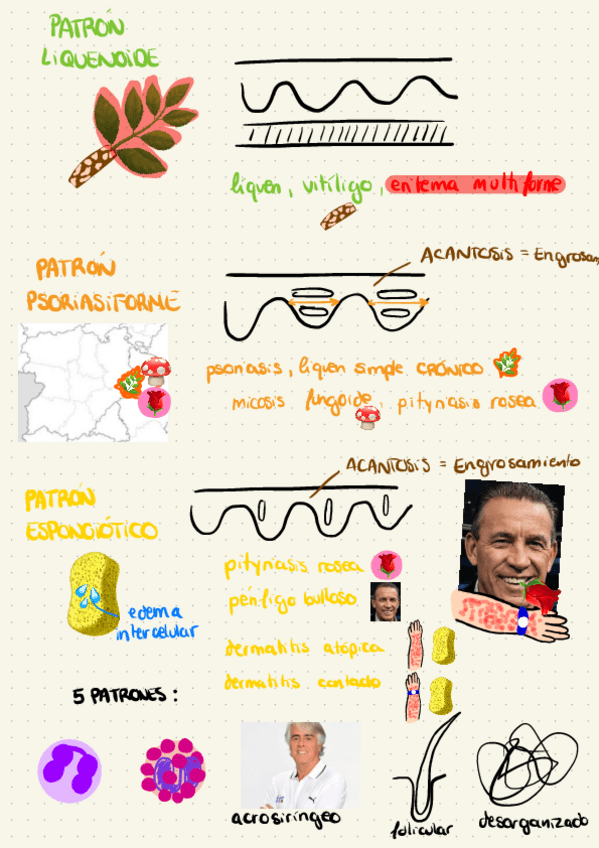 Miniatura del documento Tema-34.-Patologia-Piel.pdf